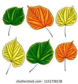 vector contour color orange yellow green linden carved leaf tree element set pattern for your design  autumn season 