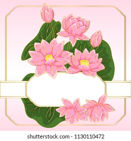 vector contour color pink chinese lotus flowers leaf asian symbol hand drawn et card rectangle border frame for text