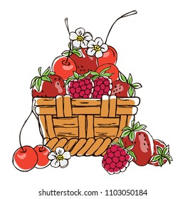 vector contour color red cherry raspberry  strawberry berry in basket  set on white summer vegetarian dessert