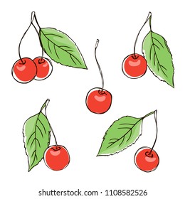 vector contour color red cherry berry leaf flowers set on white