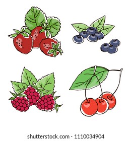 vector contour color red strawberry raspberry blueberry cherry  berry leaf set  summer vegetarian dessert on white