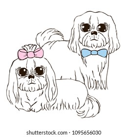 vector contour color shih tsu chinese dog with grey ears and big eyes 