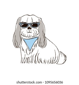 vector contour color shih tsu Chinese dog with grey ears and big eyes 