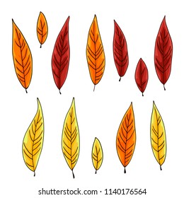 vector contour color yellow orange red willow tree leaf autumn fall season park on white  pattern for your design