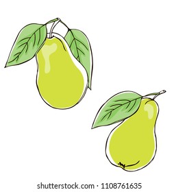 vector contour color yellow pear fruit leaf flowers set on white