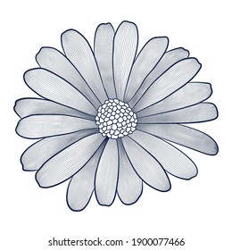 Vector contour decorative flower. Blue isolated element on a white background
