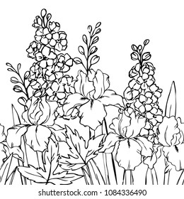 vector contour delphinium iris  flowers bud leaf coloring book seamless repeating pattern