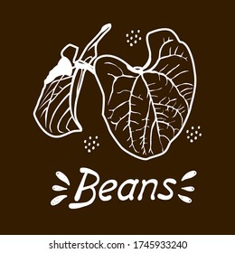 Dibujo de contorno vectorial de un arbusto de frijol hecho a mano en un fondo pastel. Línea de hojas de Bean, boceto. Registro de tarjetas, menús, banners, impresión en tela, portadas