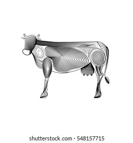 Vector contour drawing, guilloche image of cow, isolated on white.