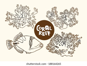 Vector contour drawing illustration of coral file fish reef fish and corals 