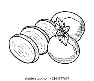 VECTOR CONTOUR DRAWING OF MOZZARELLA CHEESE SLICES ON A WHITE BACKGROUND