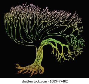 Vector contour drawing of silhouette colorful tree
