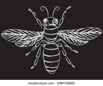Vektorkontur-Zeichnung der silhouette dekorative Cartoon-Fliege