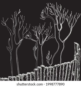 Vector contour drawing of silhouettes bare deciduous trees behind wooden fence