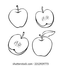 Vector contour drawing of whole and cut in half apple in doodle style. Hand-drawn isolated fruit. Clipart, symbol of harvest, summer, autumn, garden, healthy food, school snack