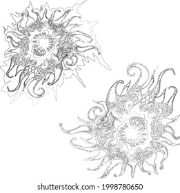 Vector contour drawings of decorative fantasy design elements