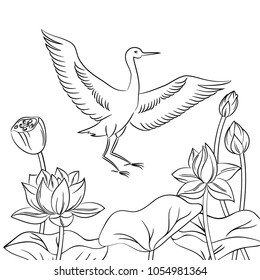 vector contour heron bird flying wings with lotus flower enviroment on white childish coloring book