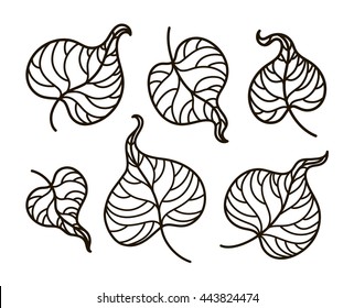vector, contour illustration, coloring book, set, leaves, summer, forest, nature, tree, plant, black and white illustration, abstraction, design element