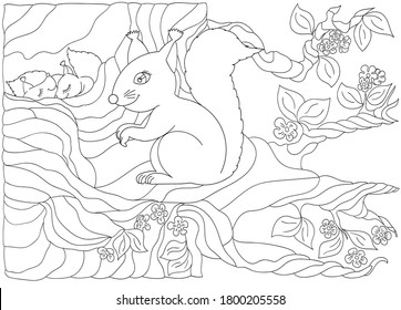 Vector contour illustration cute funny characters, cartoon, friendly family, little ones sleeping in a hollow tree, an adult squirrel sitting on a branch. Coloring book for children.