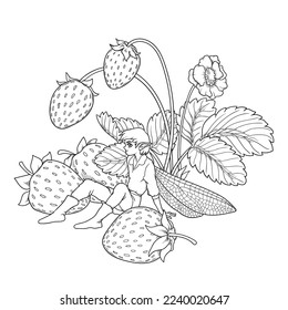 Vector contour illustration of a fairy with strawberries isolated on a white background. Sketch with an elf sitting under a berry bush for a coloring book.