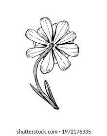 Vector contour illustration of a flower, bud. Organic shapes with different elements.