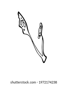 Vector contour illustration of a flower element. Organic simple shapes.