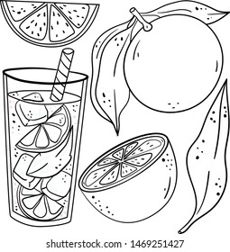 Vector contour illustration with grapefruit, parts, leaf and lemonade cocktail on white background. Good for printing. Coloring book ideas. Illustration with fruits. Botanical illustration.