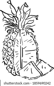 Vector contour illustration with pineapple, a piece of pineapple