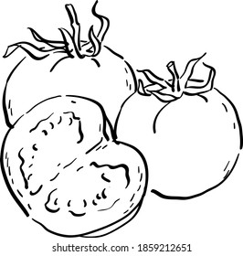 Vector contour illustration with red tomatoes