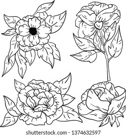Vector contour illustration with rose flowers on white background. Good for printing. Coloring book idea. Hand drawn isolated illustrations.