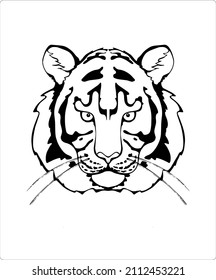 Vector contour image of a tiger on a separate transparent background. Art, the symbol of the year, is suitable for logos, coloring, printing on clothes and tattoos. From the Tiger set.