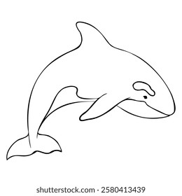 Vector contour of Killer whale or Orcinus orca. Linear Wild inhabitants of the seas and oceans of the Arctic. Hand drawn outline illustration. Undersea mammal animal in monochrome