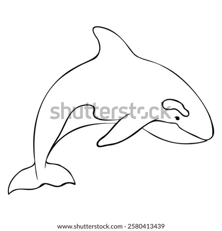 Vector contour of Killer whale or Orcinus orca. Linear Wild inhabitants of the seas and oceans of the Arctic. Hand drawn outline illustration. Undersea mammal animal in monochrome