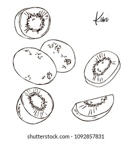 vector contour kiwi exotic fruit whole and slices simple coloring book