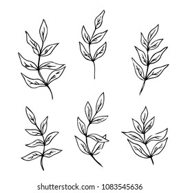 vector contour  leaf  coloring book pattern elements