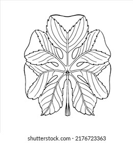 Hoja de contorno del vector. Ilustración de esbozo dibujada a mano sobre fondo blanco aislado. Licencia ornamental. Elementos decorativos de época para el diseño floral botánico. Silhouette de planta de línea