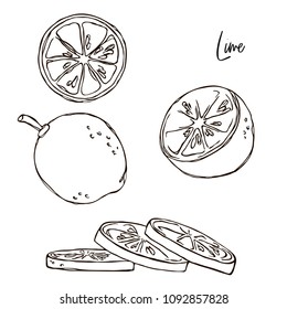 vector contour lime lemon citrus fruit whole and slices simple coloring book