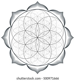 vector contour monochrome design mandala sacred geometry illustration seed flower of life lotus isolated white background  