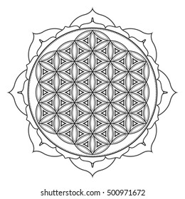 vector contour monochrome design mandala sacred geometry illustration flower of life lotus isolated white background  