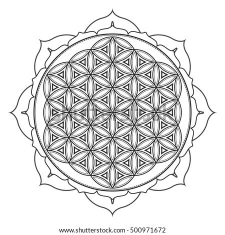 Download Vector Contour Monochrome Design Mandala Sacred Stock ...