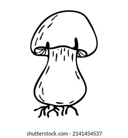 Vector contour mushroom. Boletus mushroom icon. Doodle illustration. Clipart.