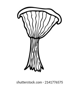 Vector contour mushroom. Mushroom icon. Simple clipart.