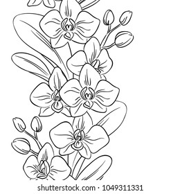 vector contour orchids exotic flowers on white, coloring book, vertical seamless frame border
