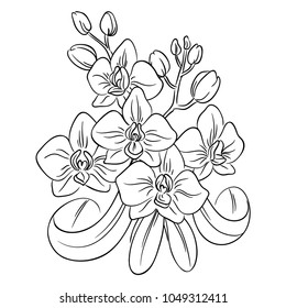 vector contour orchids exotic flowers on white, coloring book bouquet