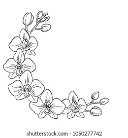 vector contour orchids exotic flowers on white, coloring book half circle frame border