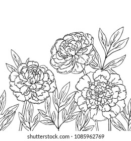 vector contour peony rose flowers bud leaf branch set outlined coloring book horizontal seamless repeating pattern
