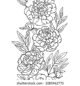 vector contour peony rose flowers bud leaf branch set outlined coloring book vertical seamless repeating pattern