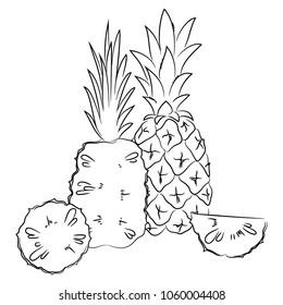 vector contour pineapple fruit whoke and slices coloring book childish hand drawn