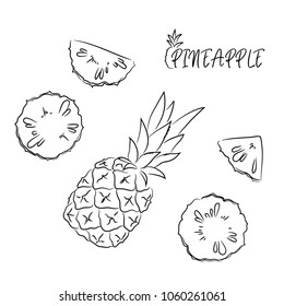 vector contour pineapple fruit whoke and slices coloring book childish hand drawn with word