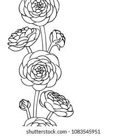 vector contour ranunculus rose flowers bud leaf coloring book pattern elements vertical seamless repeating